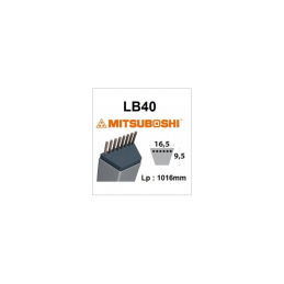 Courroie LB40, 22431VY2003, 22431734003, V8172000400, 6207161130, 25123004001