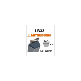 Courroie LB33, 22431723750, 22431723751, 22432736003, V8172000330, 6101181341, 6101181340, A9325465, 73906