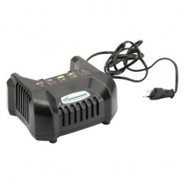 Chargeur de batterie tondeuse GGP, Mountfield 1182041321, 118204132/1