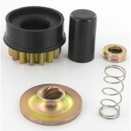 Kit nez de démarreur Briggs et Stratton 496881 15 dents