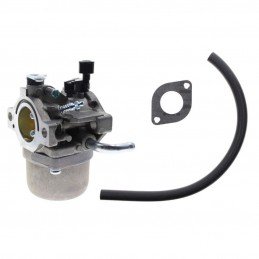 590399 Carburateur pour moteur de tondeuse à gazon 796077 avec