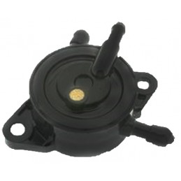 Pompe à essence moteur Briggs et Stratton, 491922, 808656, 692026