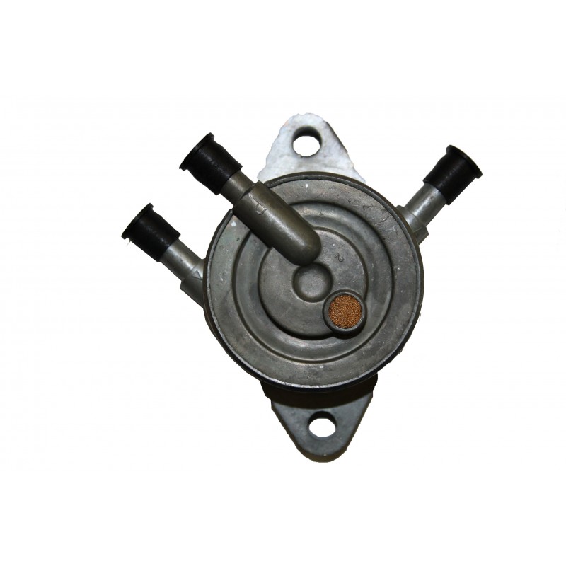 Pompe à essence moteur Briggs et Stratton, 491922, 808656, 692026