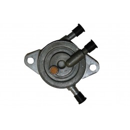 Pompe à essence moteur Briggs et Stratton, 491922, 808656, 692026