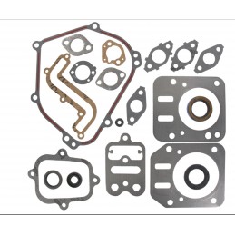 Kit joints moteur Briggs and Stratton 791797
