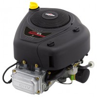 Moteurs complets Briggs et Stratton pour tondeuses