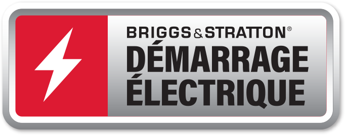 Icone demarrage electrique briggs et stratton